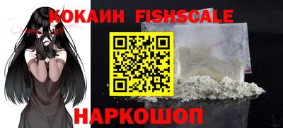крисы Можга
