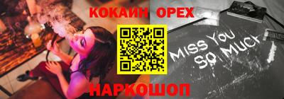 крисы Можга