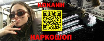 крисы Можга