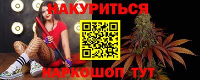 крисы Можга