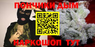 крисы Можга
