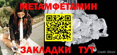 крисы Можга